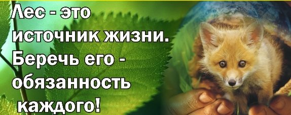 Берегите лас от пожара. Лес не нужен. Берегите лес отпоажара. Берегите лес презентация. Берегите лес отпоажара.