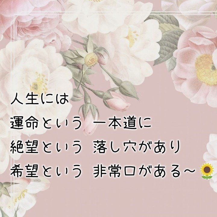 深いい 深いい