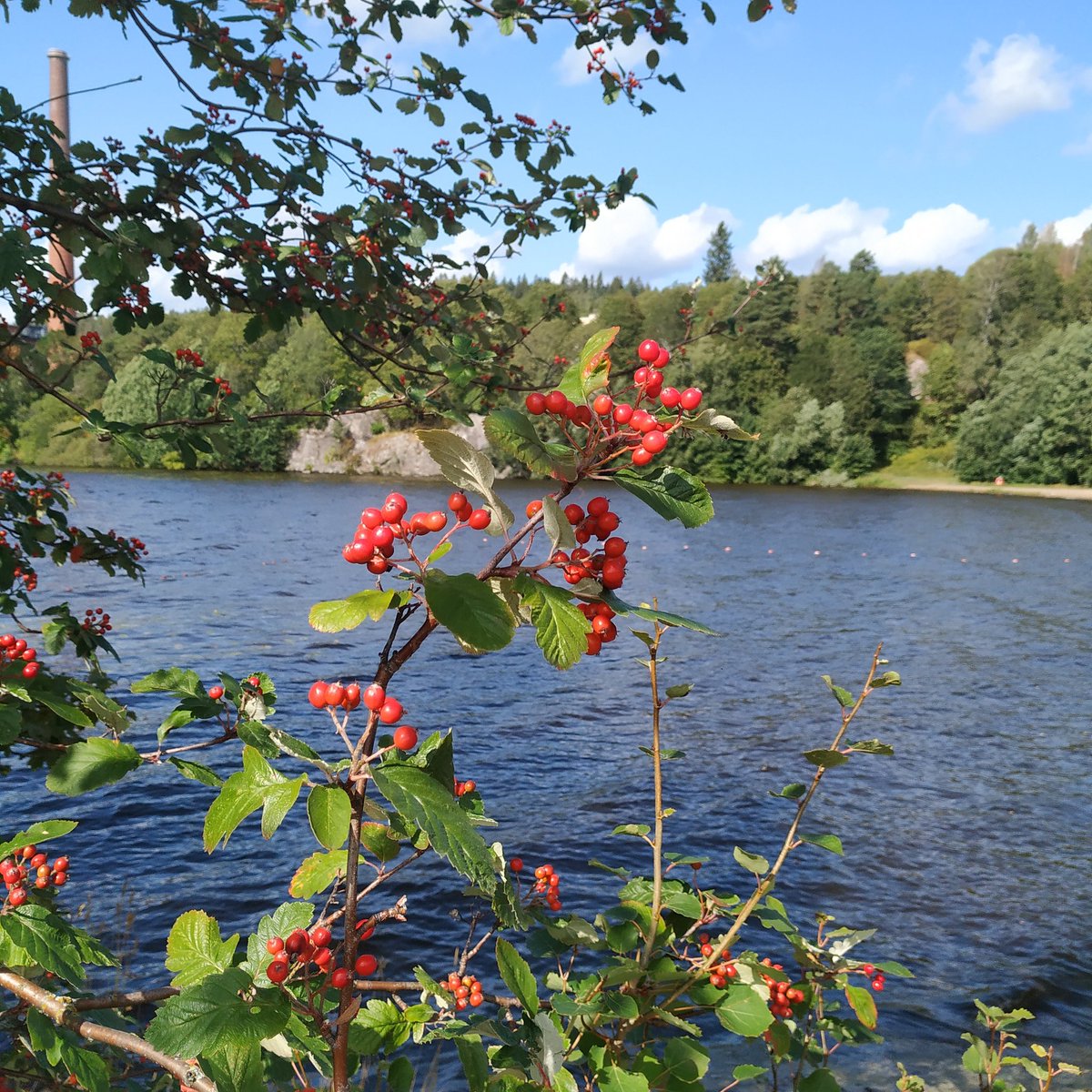 SusanadeCarvalh's tweet photo. Tampere https://t.co/nfk6Igsw3V
