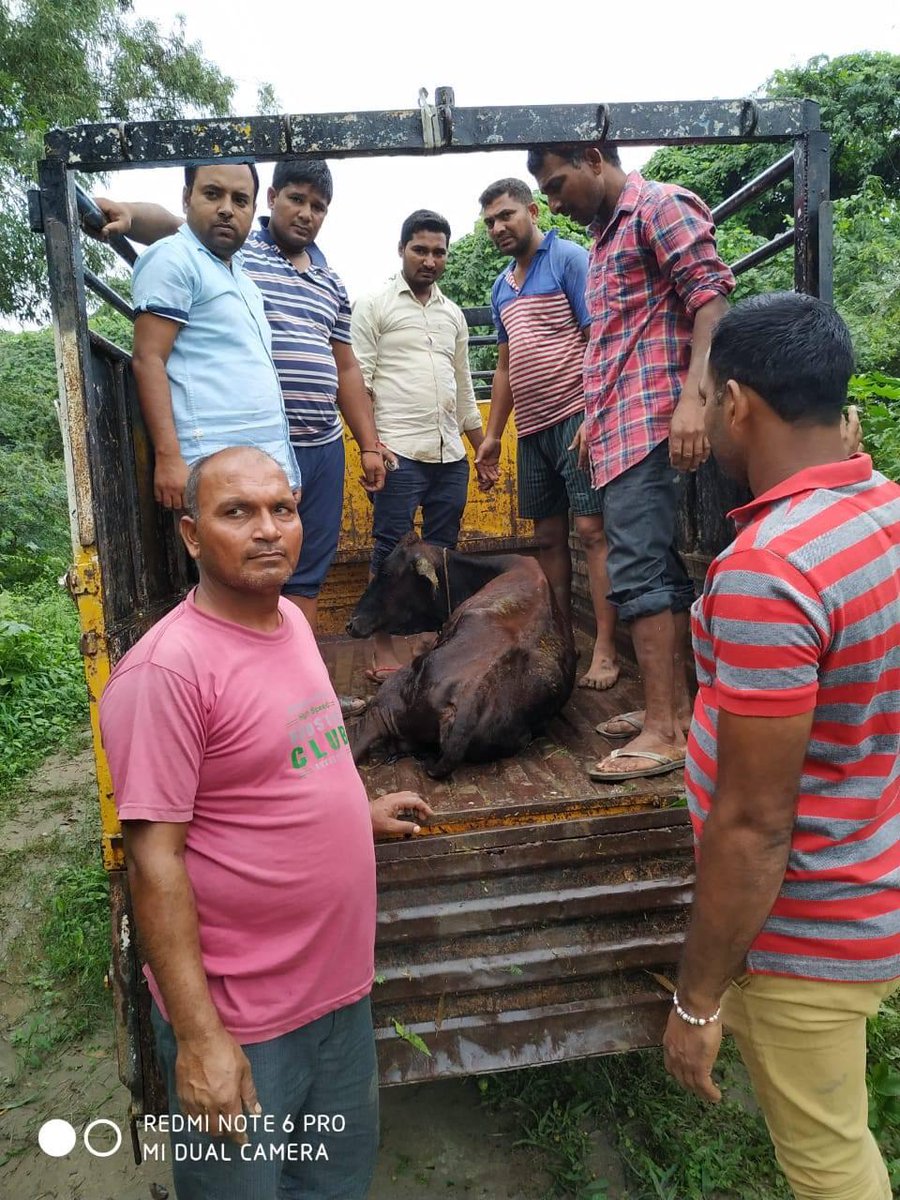 BetiPyari's tweet photo. #ProtectingTheVoiceless means helping the injured animals and birds that are lying on road #Welfarism All bcz of teachings of Saint Dr. @Gurmeetramrahim Jii #ProudWork https://t.co/O18t5NEWmD
