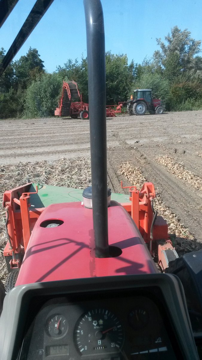 langepacht's tweet photo. Plantuien rooien. #sturon https://t.co/mETHXK31XX