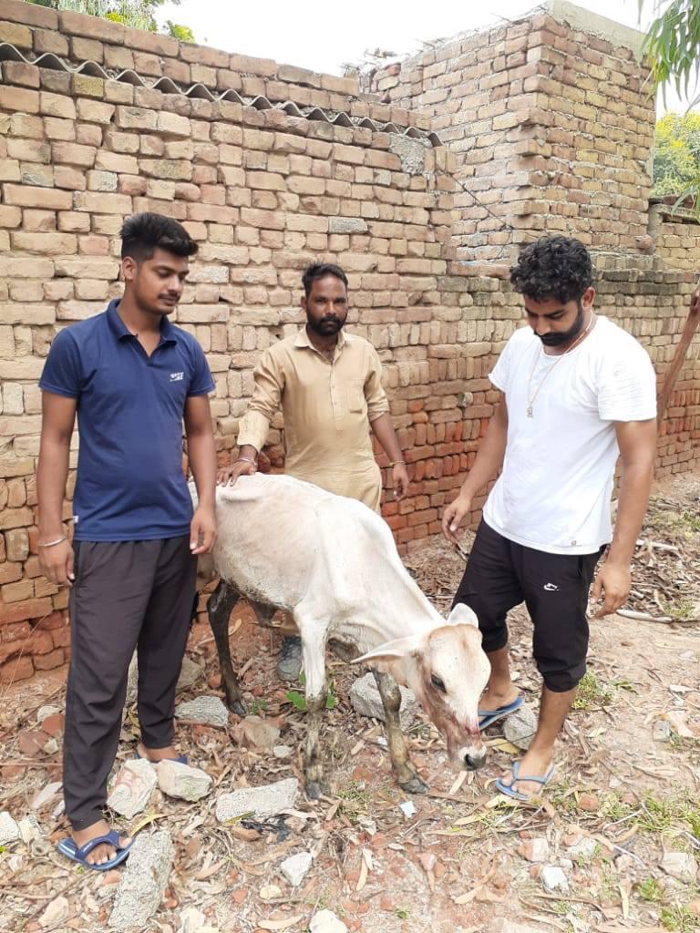 BetiPyari's tweet photo. #ProtectingTheVoiceless
@derasachasauda ✨ @Gurmeetramrahim .. Saving the Injured animals and treating them properly is such a work of #Welfarism #Humanism 🌸 #ProudWork !!! https://t.co/byrxtDPQPt