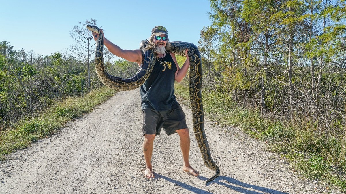 oceansreach's tweet photo. Would you be interested in hearing how a group of men is eradicating the Pythons from Florida? Then read on...
https://t.co/iOByFkrGpu
#Sanibel #OceansReach #Pythons https://t.co/cDHvZOlS2r