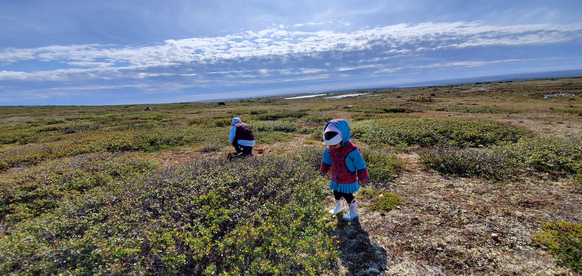 12 days post-journey. I am picking berries on the land. I'm home.