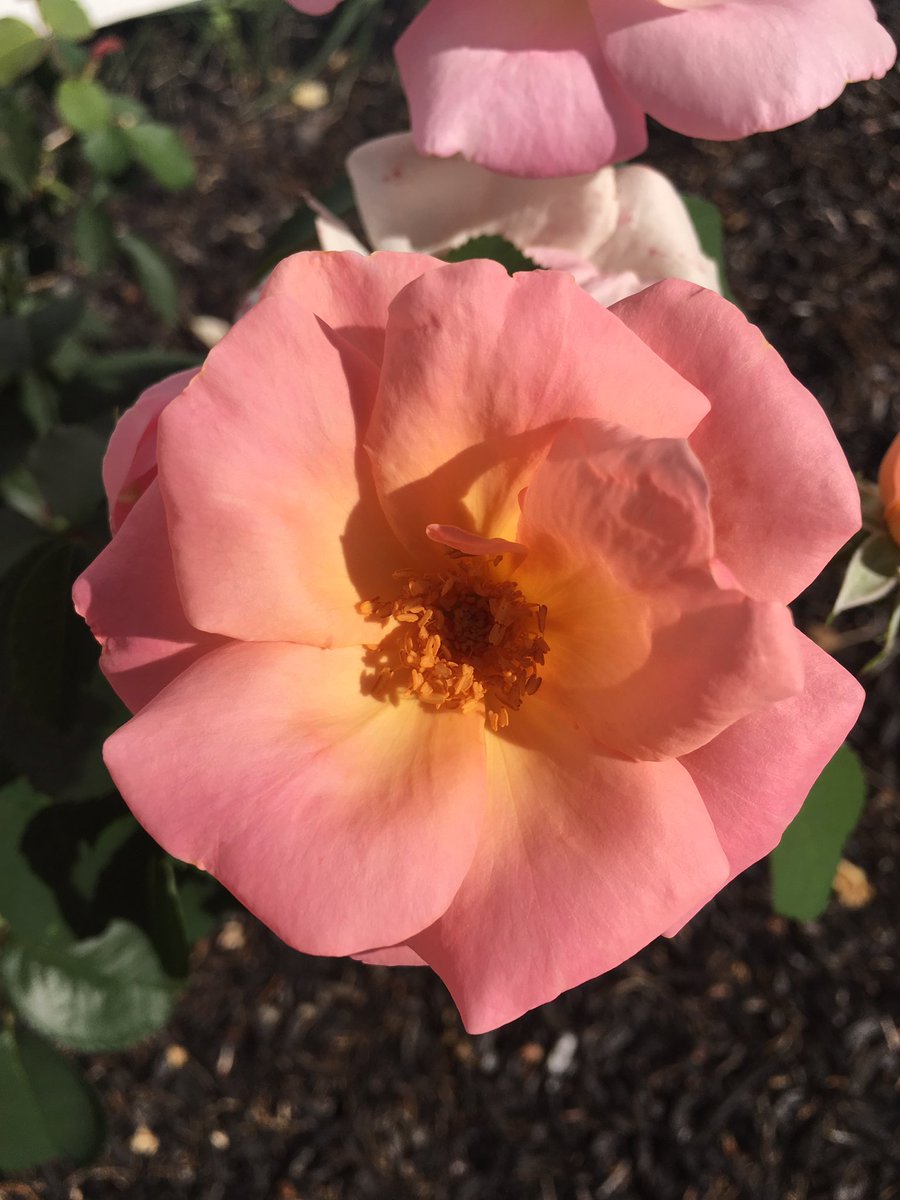 k128iMedia's tweet photo. 6.84 mile run & upper body workout this morning. #CompassExchange #adaptiveathlete #adaptiveartist #FitnessMotivation #Warrior #Tuesday #pushinglimits #inspireothers #inspire #DaretoDream #EssentialTremor #run #workout #fitness #NewEngland #fitwomen #TuesdayMotivation https://t.co/W37L5TRVOG