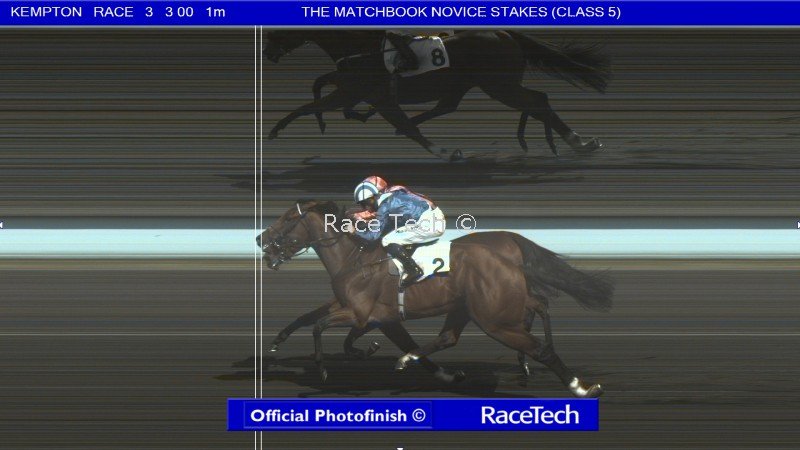 RacingPost's tweet photo. Here is the photo finish - Albadr (near) was initially placed second behind Loving Glance before being awarded the race at Kempton https://t.co/Ft8YQVSmBG