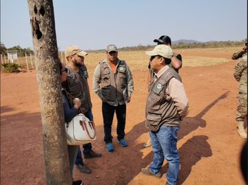 Ver imagen en Twitter