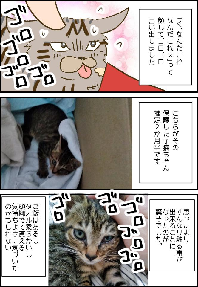 保護した子猫、さっそくデレる⑨  ブログはこちら→ https://t.co/0XAuJFkWlz #保護猫 #子猫 