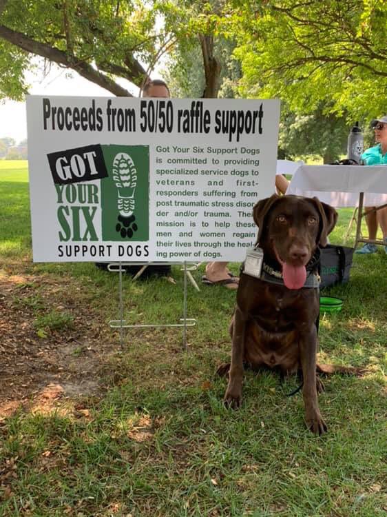 gy6ptsdsupport1's tweet photo. Rambo is getting word out about Got Your Six Support Dogs at the SITE Improvement Association Golf Scramble (https://t.co/7zwSzrYbk9). #gotyoursix #gy6 #ptsd #ptsddogs #ptsdsupportdog #ptsdservicedog #servicedog #servicedogsoftwitter #dogsofinstagram #ptsdrecovery #stop22aday https://t.co/dG1vO0i6Nw