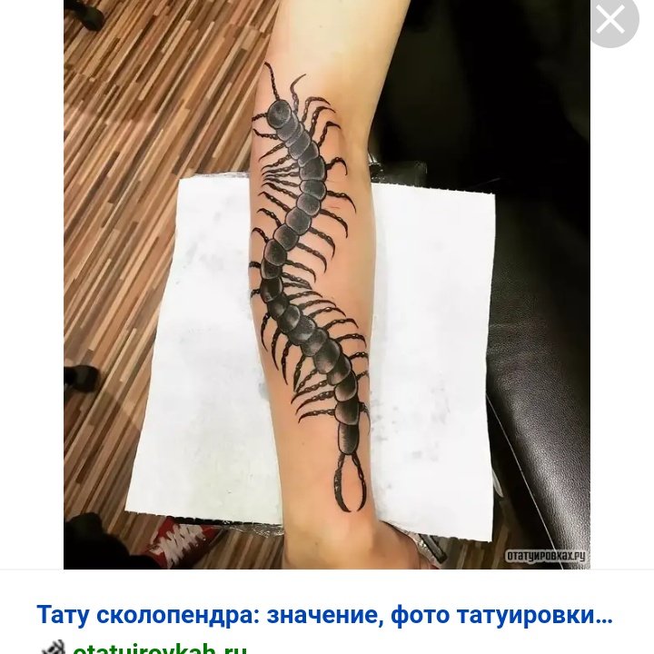 Что значит сколопендра. Сколопендра дрейн. татуировка сколопендра. тату сороконожка. тату сороконожка на руке.