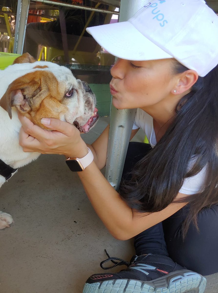 PatioPups's tweet photo. Some cute photos from Pups &amp; Pints @Ellwoods event we did with them! #patiopups #rvadogs #dogsofrva https://t.co/VlzGwHJdh5