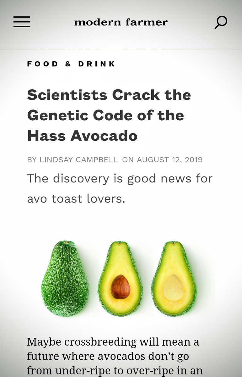 They cracked the Avo-CODE-do!! 🥑