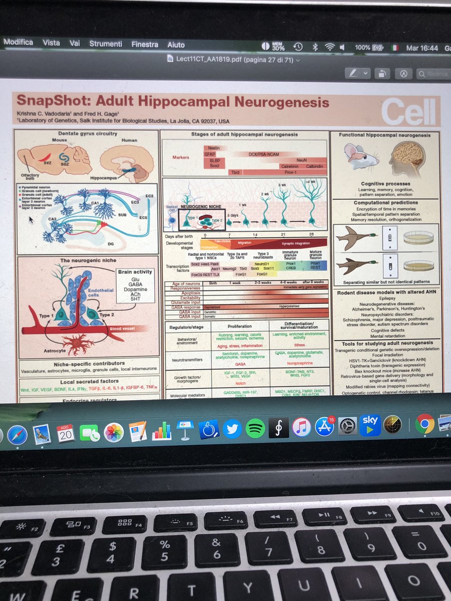 GMetal95's tweet image. Vorrei ringraziare tutti quelli che stanno facendo la telecronaca della #maratonamenta per tenermi informato mentre studio per la sessione di settembre.
Siete degli eroi. Memate anche per me

#NeuralStemCell