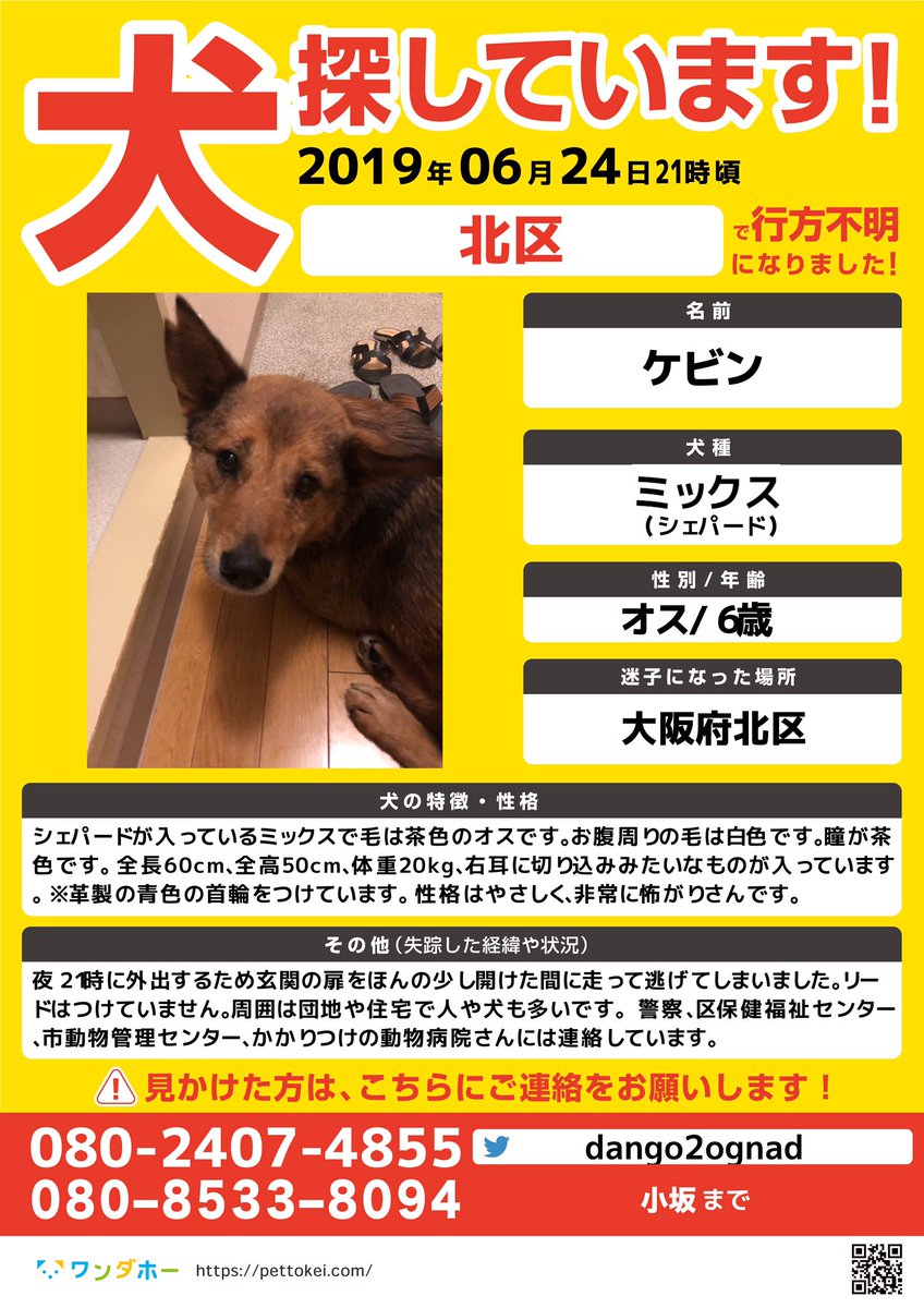 はるお 生ハムと同居していたことに気づいてしまった犬