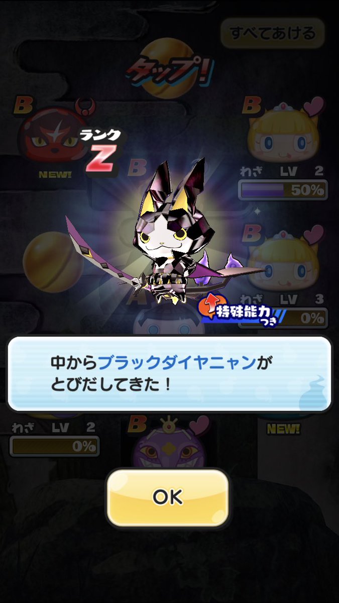 ブラックダイヤニャン