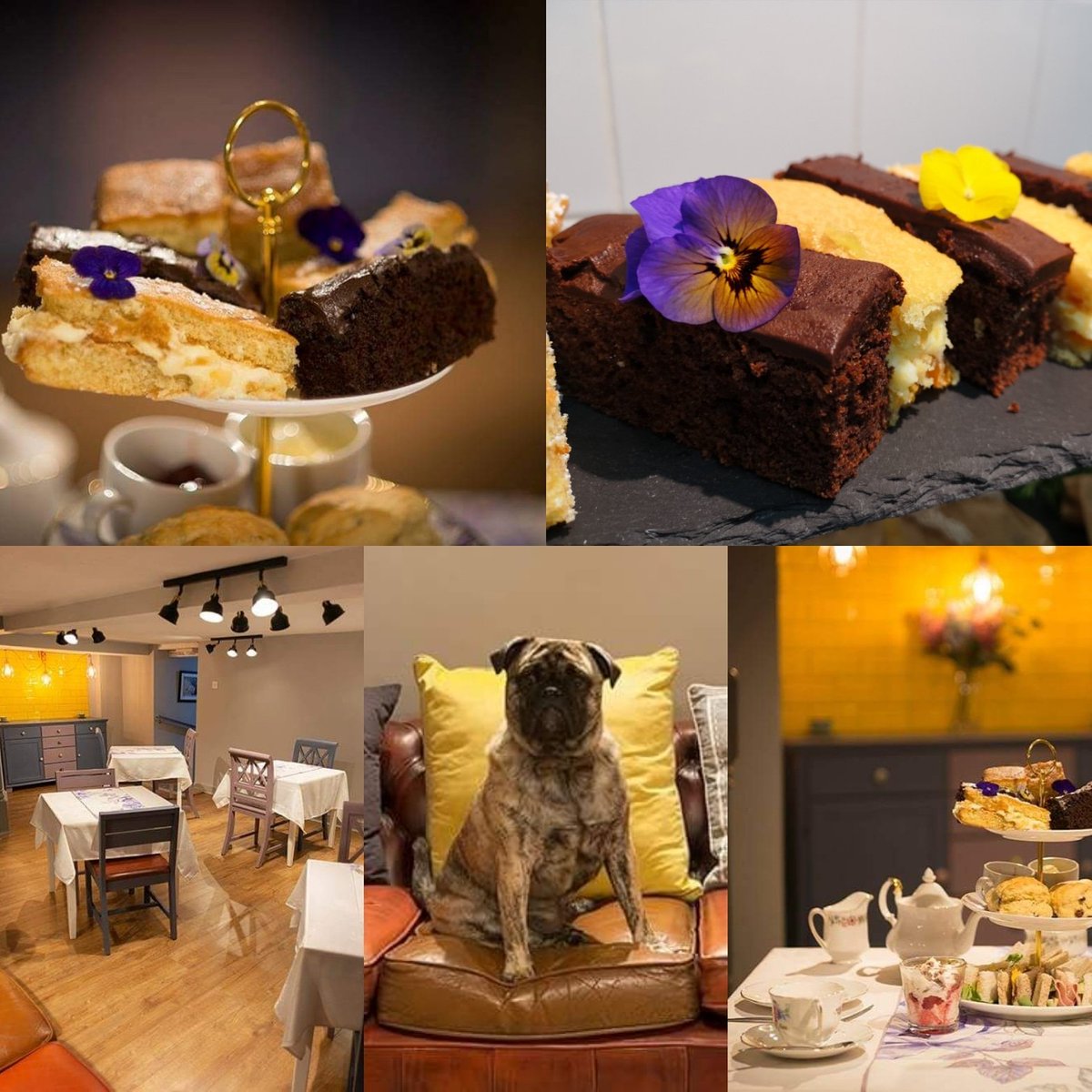 A year ago today Albert announced the opening of our secret tea room. 
To book your home made afternoon tea host by Millie's vintage in a beautiful relaxed setting, pop in or go online number5shifnal.com.