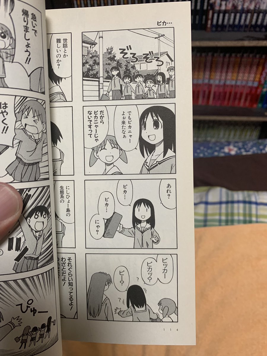 ヤマピカリャー