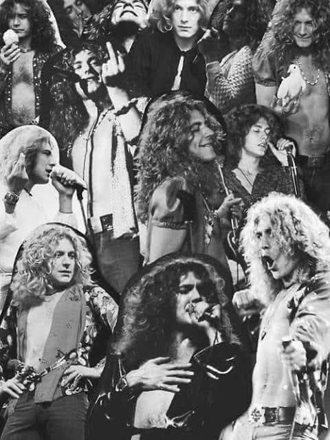  HAPPY BIRTHDAY ROBEPLANT   