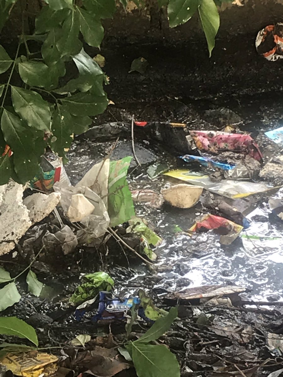 sumaomkaar's tweet photo. @DIVYAKC23 @KaleePasha @vrwa_deepa @DIVYAKC23 @BBMP_MAYOR @VeerannapalyaRW Need urgent support to clear gutters near school in Veeranapalya. Thank to Idris for support so far. There are multiple Dengue cases in the Layout due to this. BBMP team, please support to avoid Dengue! https://t.co/k1Ei8IZhPE