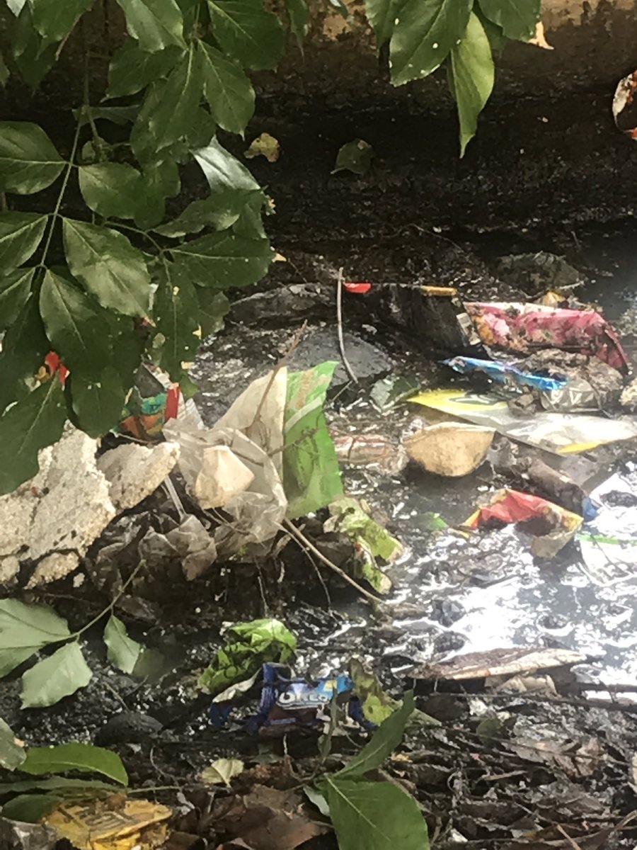 sumaomkaar's tweet photo. @DIVYAKC23 @KaleePasha @vrwa_deepa @DIVYAKC23 @BBMP_MAYOR @VeerannapalyaRW Need urgent support to clear gutters near school in Veeranapalya. Thank to Idris for support so far. There are multiple Dengue cases in the Layout due to this. BBMP team, please support to avoid Dengue! https://t.co/k1Ei8IZhPE