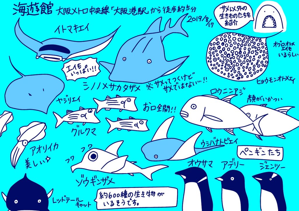 水族館イラストまとめ 19