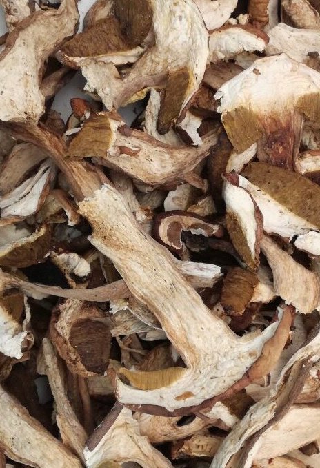 FineFoodLine's tweet photo. SEASON 2019: Looking for high-quality delicious #dried #porcini? Contact us: info@finefoodline.com ☎️ 00381605576173
#HealthyEating #HealthyFood #organic #export #nature #porcini #driedporcini #wildmushrooms
Visit our website: https://t.co/GpheK66GfA https://t.co/ZVJKDmJnOJ
