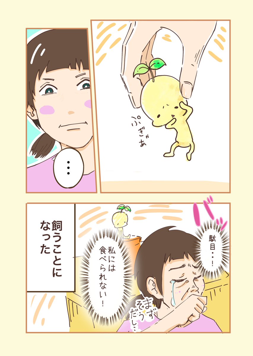 いかがわしい種を育てた 