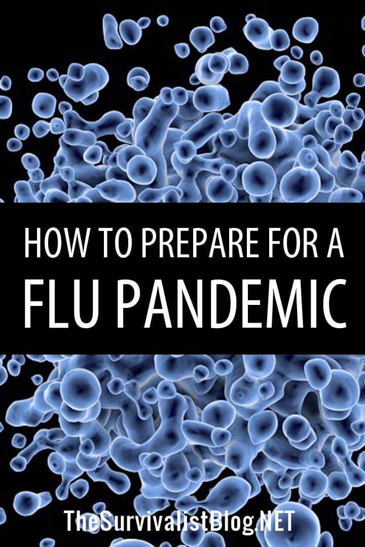 How to Prepare for a Flu Pandemic

A flu pandemic is one of the worst SHTF disasters we could face. We tell you exactly how to prepare for such a catastrophe. thesurvivalistblog.net/prepping-for-p…