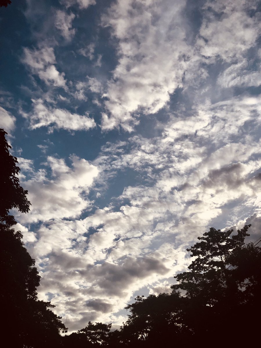 𝙲𝚑𝚒𝚟𝚊𝚜 𝚁𝚎𝚐𝚊𝚕 🍺[@restยาวๆ] tweet media