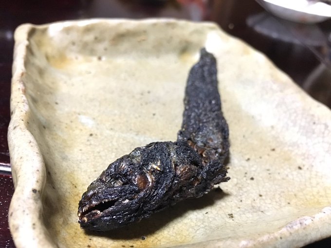 有明海の珍魚 ムツゴロウ とは 味や調理法 料理レシピを解説 旅行 お出かけの情報メディア