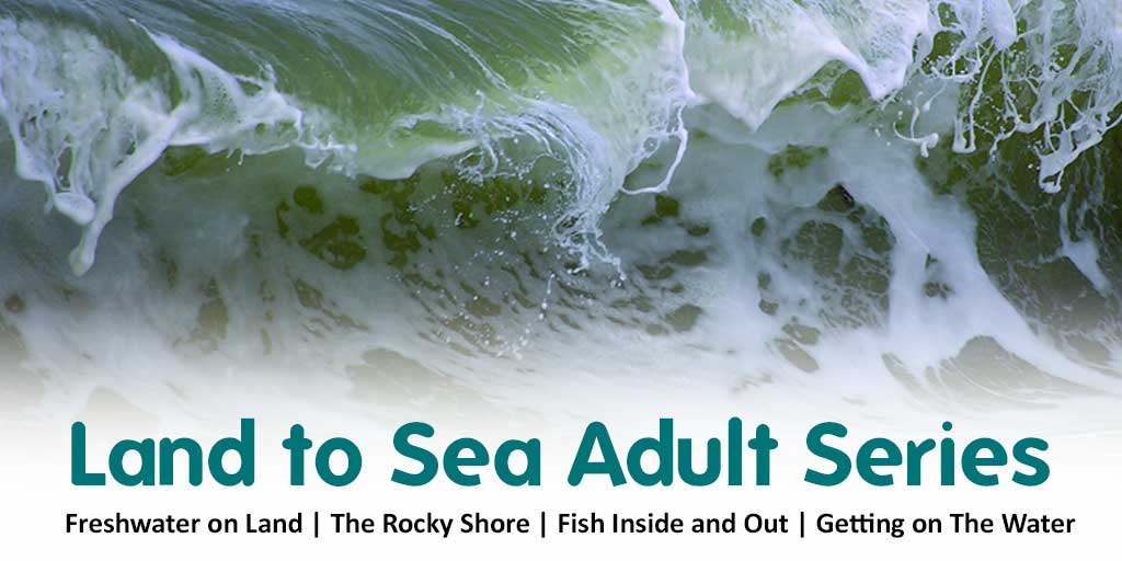 FSCSlaptonLey's tweet photo. Join us and @NMAPlymouth to discover the aquatic and marine creature on our coast!
#SummerOutdoors #Adults #LandtoSea #EducationForAll https://t.co/2KkD3RBB4L