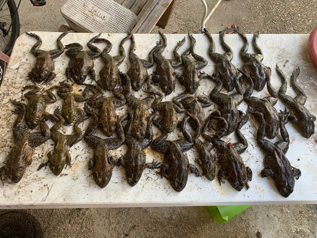 Stephen_L69's tweet photo. First time frogging https://t.co/NX7L2H696P