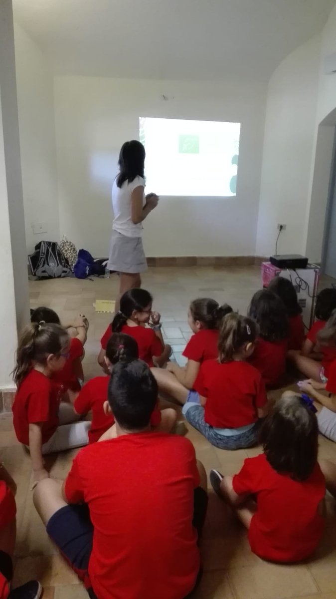 Ecovalia tweet media