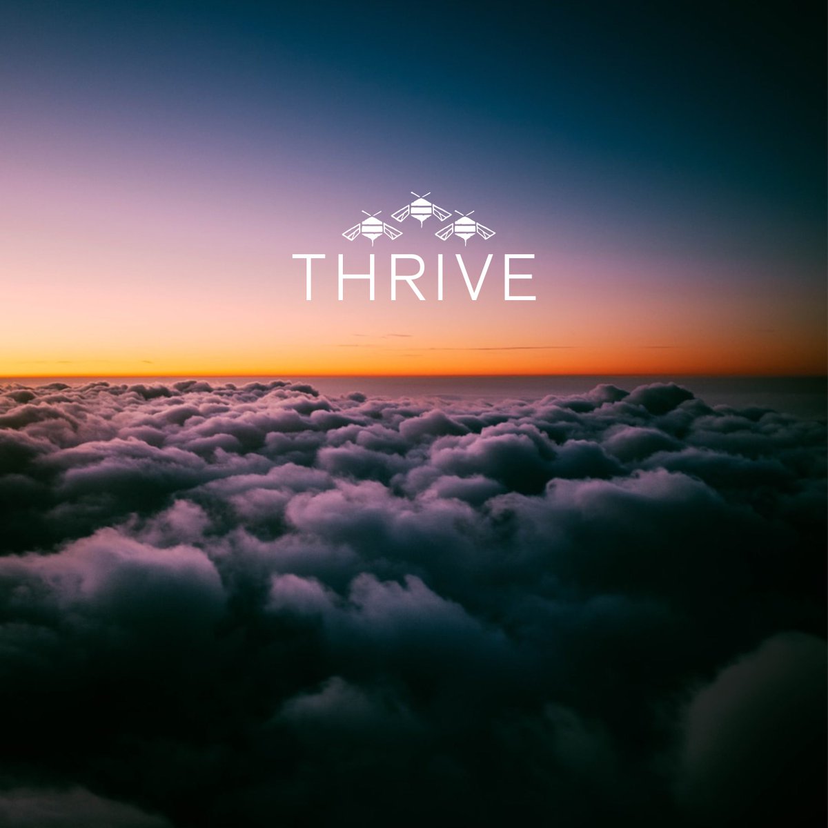 Learn More: facebook.com/events/3683359…