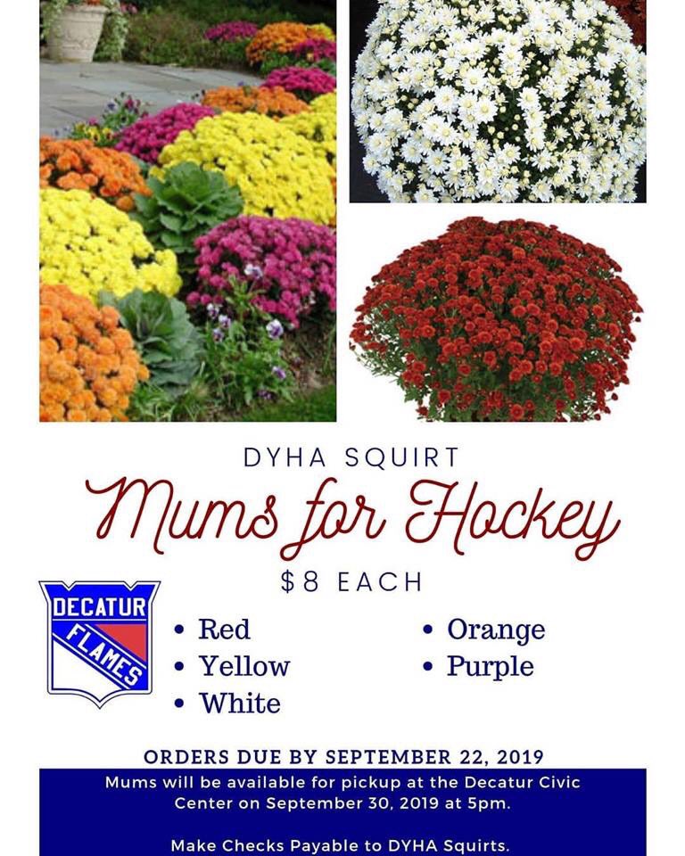 DecaturHockey's tweet image. 