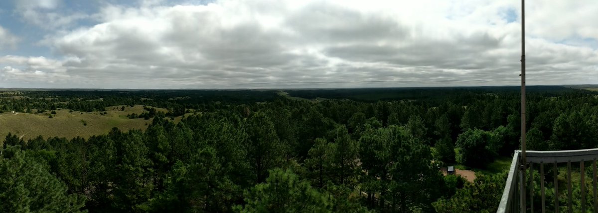 KurthBrashear's tweet image. From a weekend of #passporting, one of my favorite views in #Nebraska - Scott Lookout Tower, Nebraska National Forest outside Halsey. #HonestlyNE