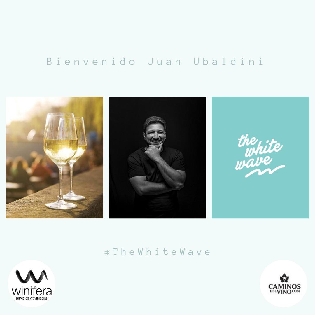 winifera_'s tweet photo. Saben quien se suma a #TheWhiteWave ? El grande de
@juanubaldini y no viene sólo, lo acompaña su @ElEquilibristaW !
Bienvenido!!!
Organizan: @winifera_ar y @caminosdelvino_
Auspician: Hotel Potrerillos, Grupo Altasur, Villavicencio y Bonell.
#WhiteWave #VivaelBlanco #ArgWine https://t.co/VQe4LiLp5E