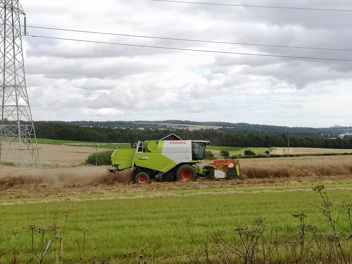 HuttonCSC's tweet image. Harvesting the WOSR.