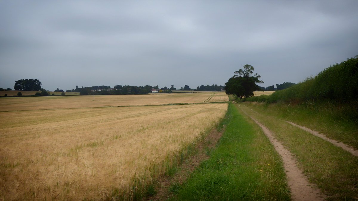 greensandsocial's tweet photo. Explore #GreensandCountry on this approx. 7 miles train walk, with @marstonvalecrp taking you from Ridgmont to Bow Brickhill and walking back to Ridgmont for tea and cake @bedsrcc's Ridgmont Station Tea Rooms. https://t.co/sfcWMBVMvT #walking #hikingadventures #trainwalk 🚉🚶♂️☕️ https://t.co/HVwFC9OYeA