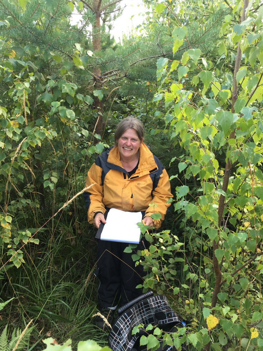 ICOS_Norunda's tweet photo. Part 2: Iris making her way through #Norunda forest along transects doing manual chamber measurements. Pictures are taken on the former clear-cut - today it's rather a jungle and we actually got lost once. But we had fun anyway. Amazing how fast the trees grow (easily 0.5m/a). https://t.co/cS03HMhzsO