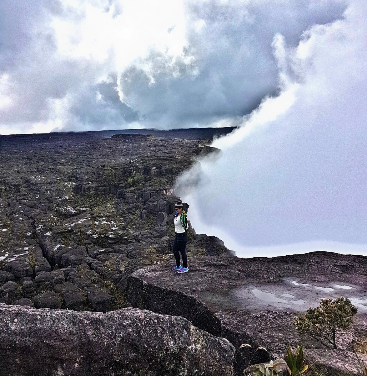 hcmkarla's tweet image. A quem me pergunta se sou robô👇 A robôgata🤣 mora no topo do monte Roraima 🏃‍♀️
😁🖖 no coração da Amazônia 🦋🇧🇷brasileira👉 índia branca 🤫 ❤
#BolsonaroPresidenteAte2026