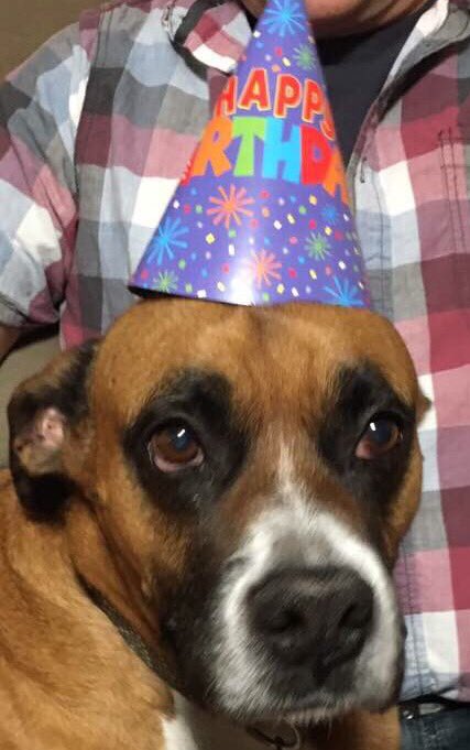 Happy Birthday Mama Stock! 🎉