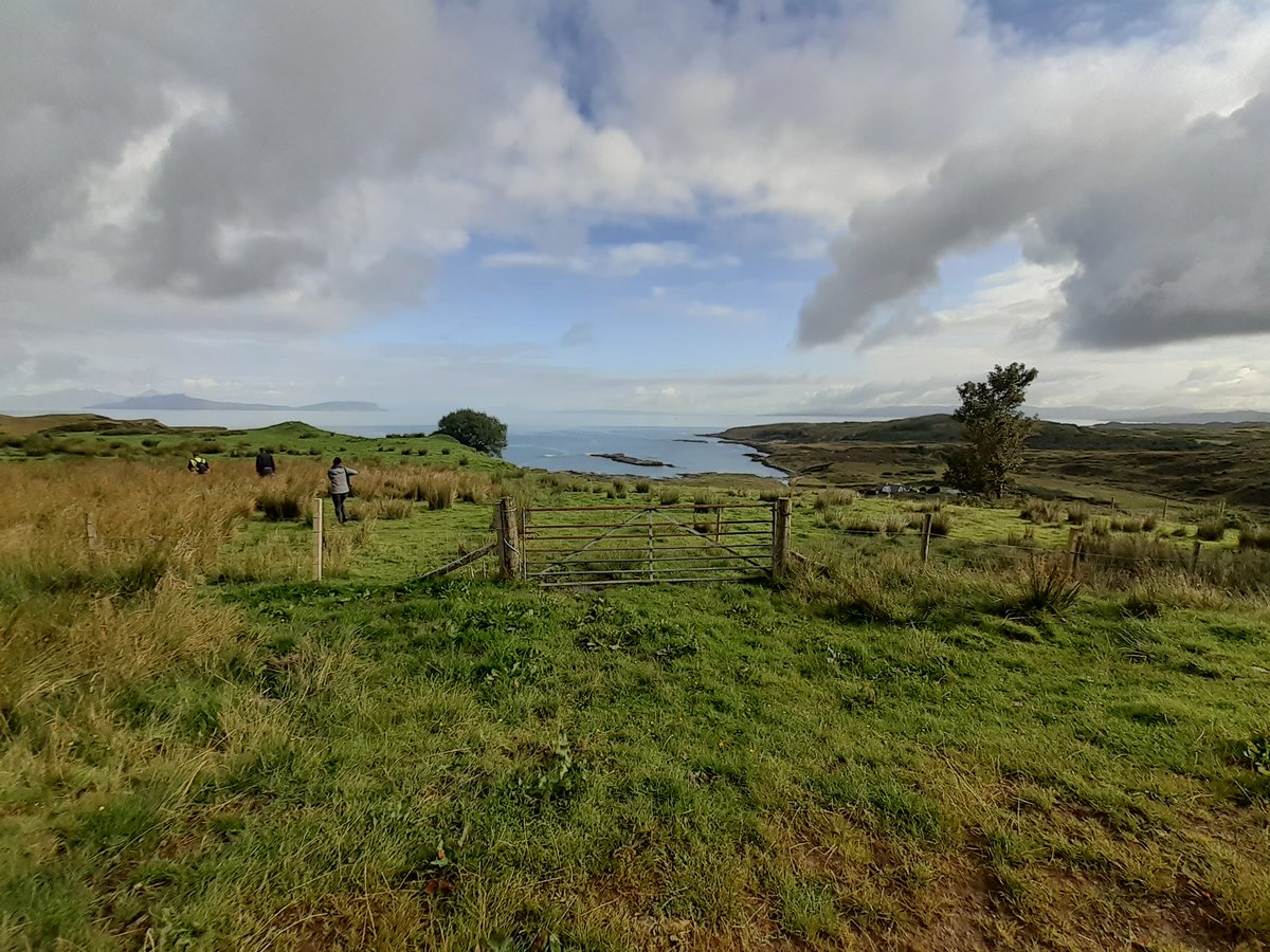 atparc's tweet photo. A stonking morning of work, only mildly impeded by the presence of cows! 8 test pits and trench open, and the grid is up! https://t.co/9BacORGzUS