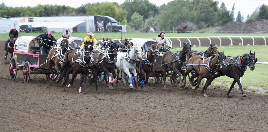 Wayne Knight Racing tweet media