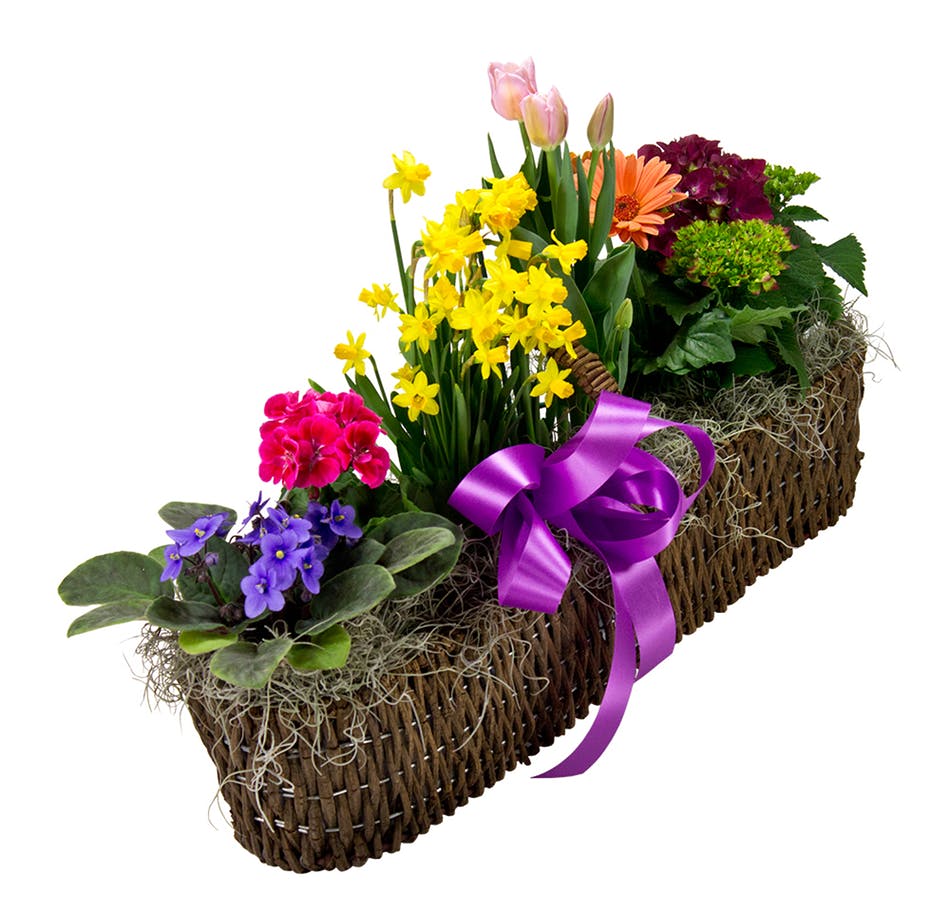 radebaughs's tweet photo. Celebrate the friendships in your life with flowers, plants & gifts from Radebaugh Florist & Greenhouses! #friendshipweek #flowersmakeushappy #flowerdelivery #baltimoreflorist #radebaughs https://t.co/uIx767rtAX https://t.co/qJYM6nP9zC