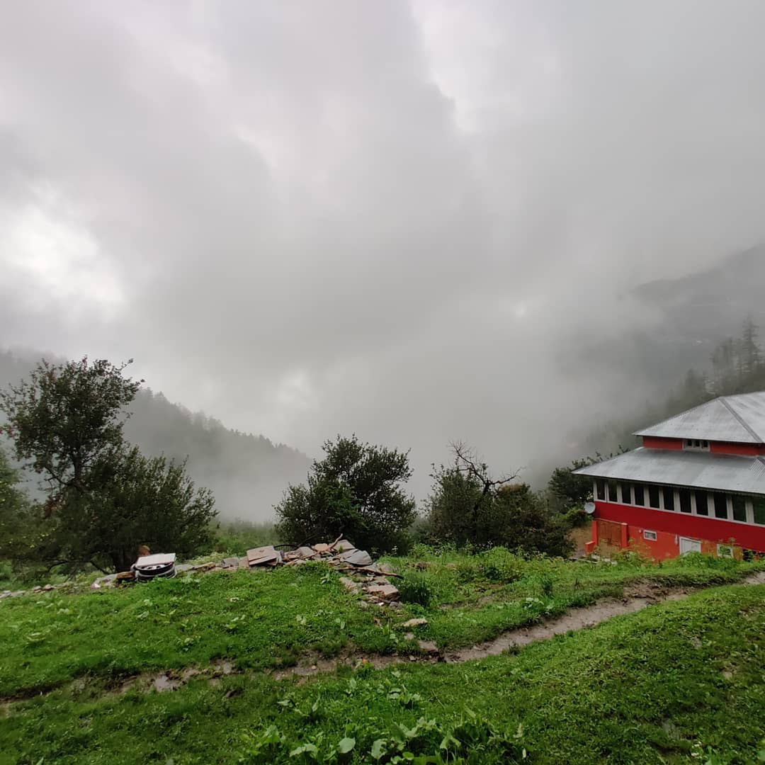 sanesa's tweet photo. Braving thunderstorms and landslides to find the best #Natural #Organic #Apples. #RedGold #RoyalDelicious #RedRoyal all from the same farm. https://t.co/8MpAWxiUVY