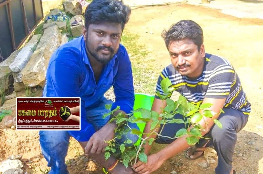 SekarSmarty's tweet photo. #BIGILTreePlantingChallenge https://t.co/xRM3Lk9XW8