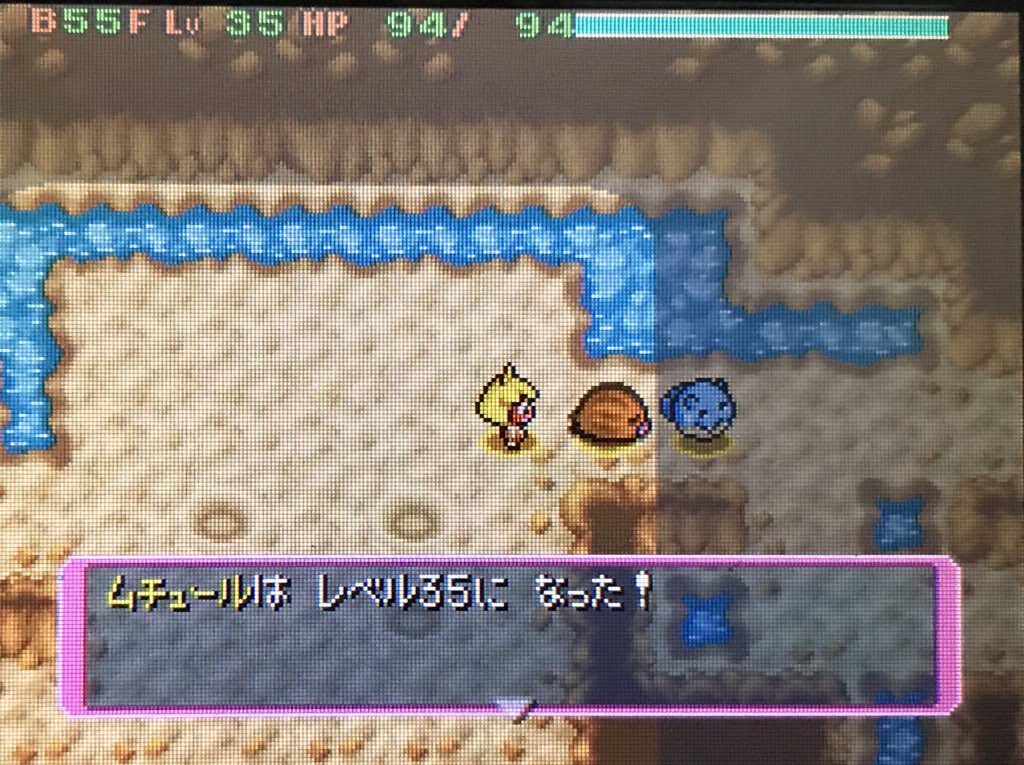 タマアザラシ 青の救助隊 Bluerescueteam1 Twitter