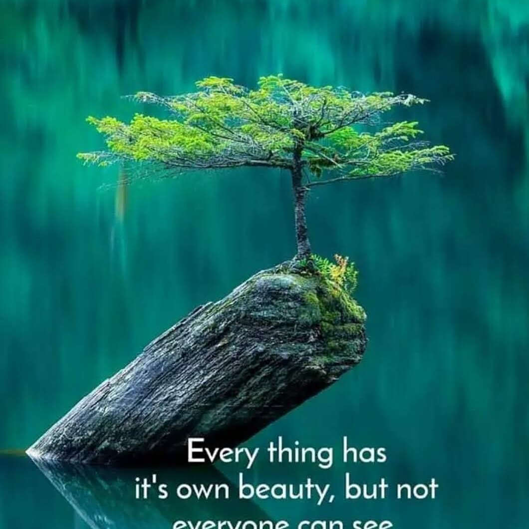 Tom Jackson (@tominnorway) on Twitter photo 