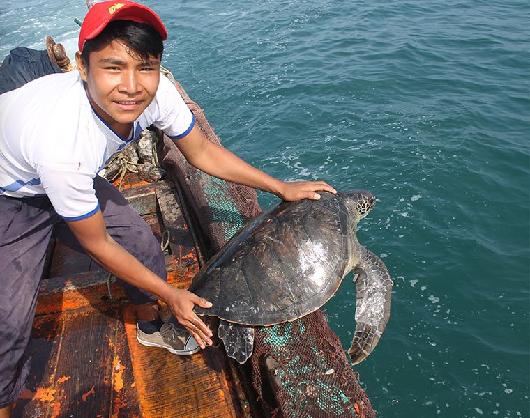 Words are great, but action is far greater. We are proud to support the SEA LIFE Trust – a charity whose aim is to ensure our oceans are conserved, protected and full of life!